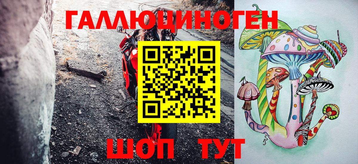 Абинск  Псилоцибиновые грибы Psilocybe  где купить наркотик  Галлюциногенные грибы Psilocybe  Вход с VPN 