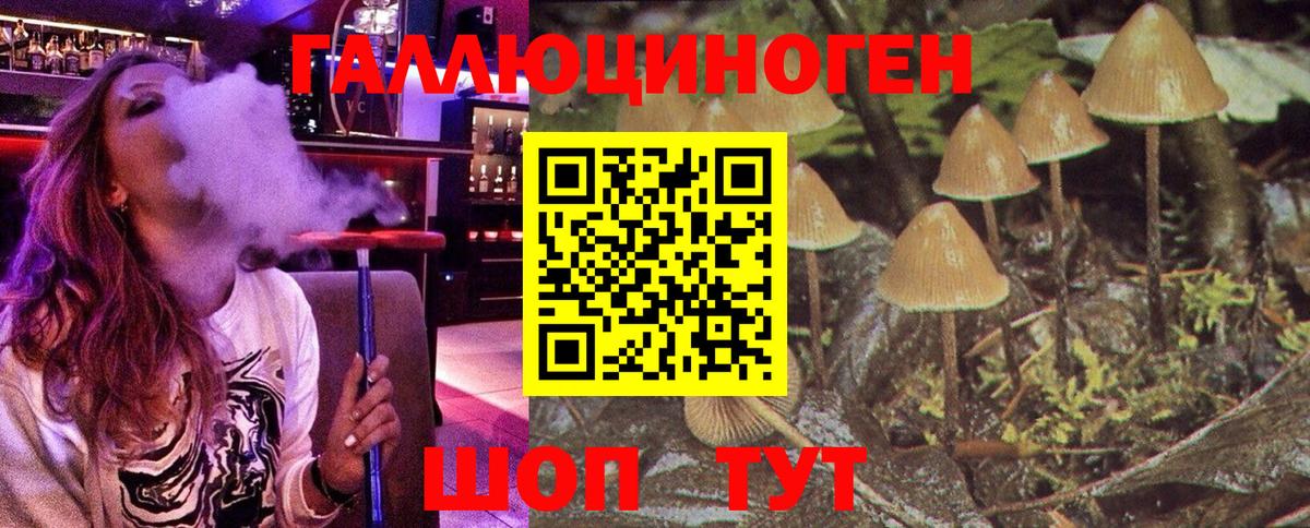 Псилоцибиновые грибы Cubensis Абинск